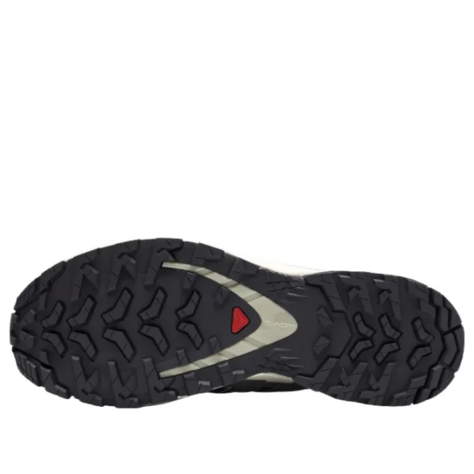 Salomon XA PRO 3D V9 GTX „Dark Grey Beige“
