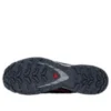 Salomon XA PRO 3D V9 GTX „Grey Light Blue“