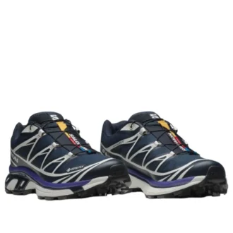 XT-6 Gore-Tex „Carbon Vanilla Ice“