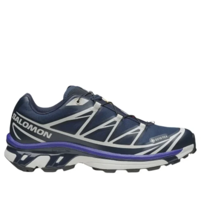 XT-6 Gore-Tex „Carbon Vanilla Ice“
