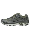 XT-6 Gore-Tex „Olive Night Sedona Sage“