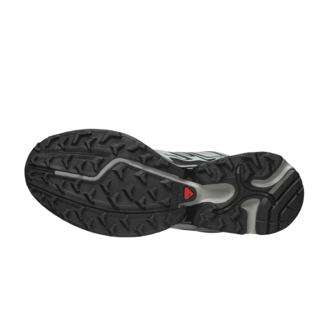XT-PATHWAY „Ghost Grey Arona“